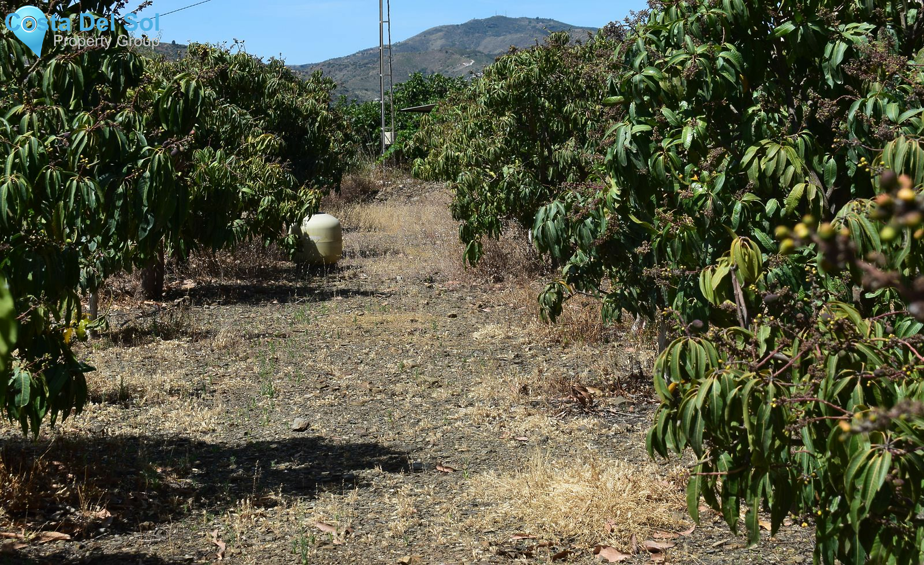 Finca - Cortijo in Benamargosa-1157227