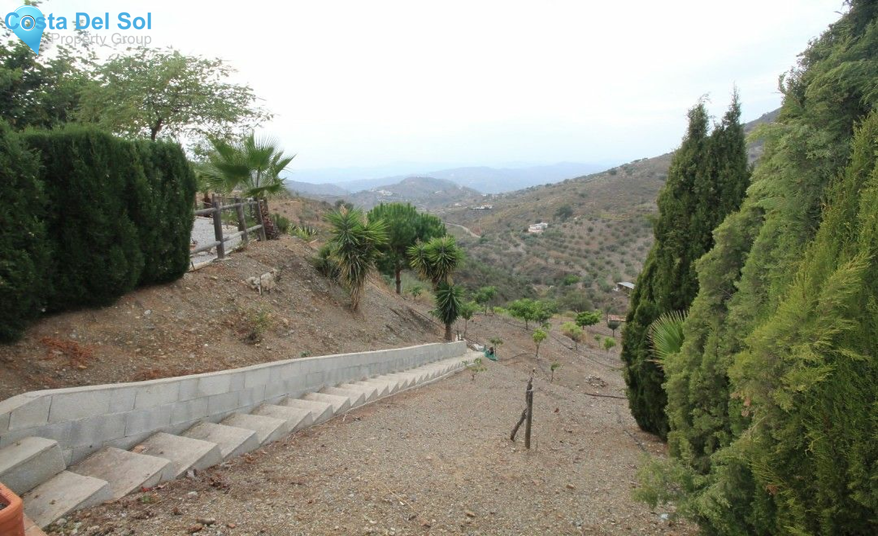 Finca - Cortijo in Canillas de Aceituno-1553682