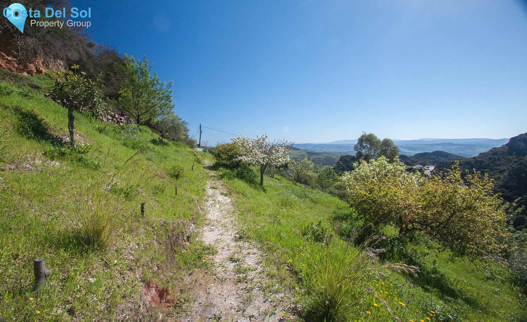 Finca - Cortijo in Casares-1488723