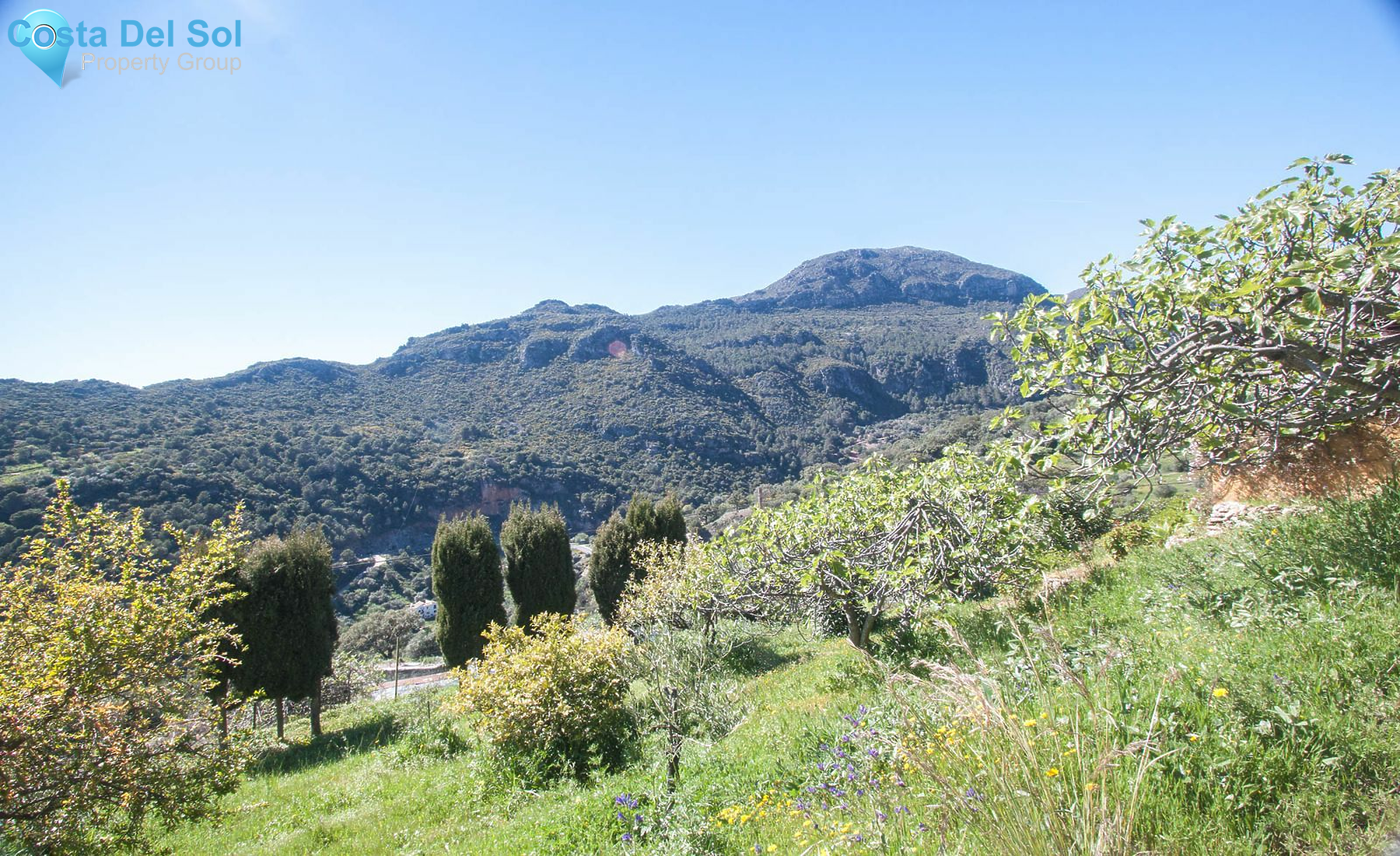 Finca - Cortijo in Casares-1488724