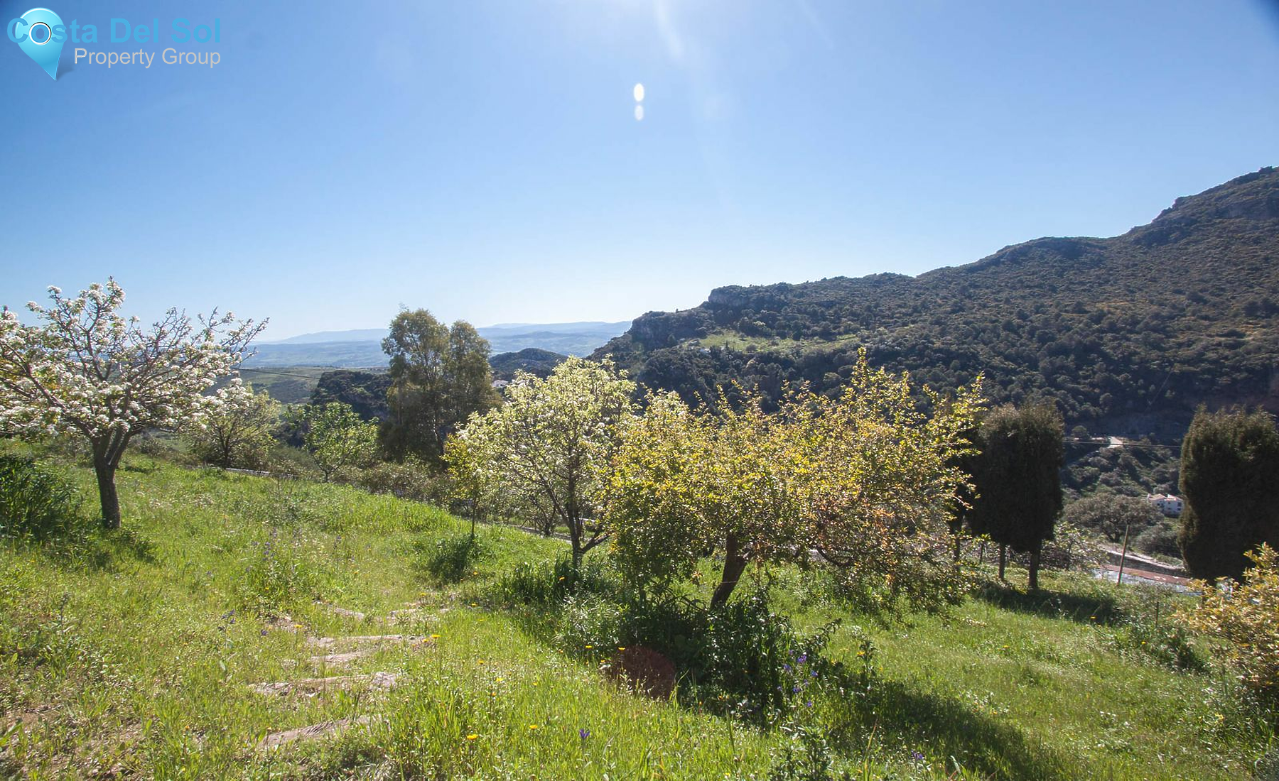 Finca - Cortijo in Casares-1488725