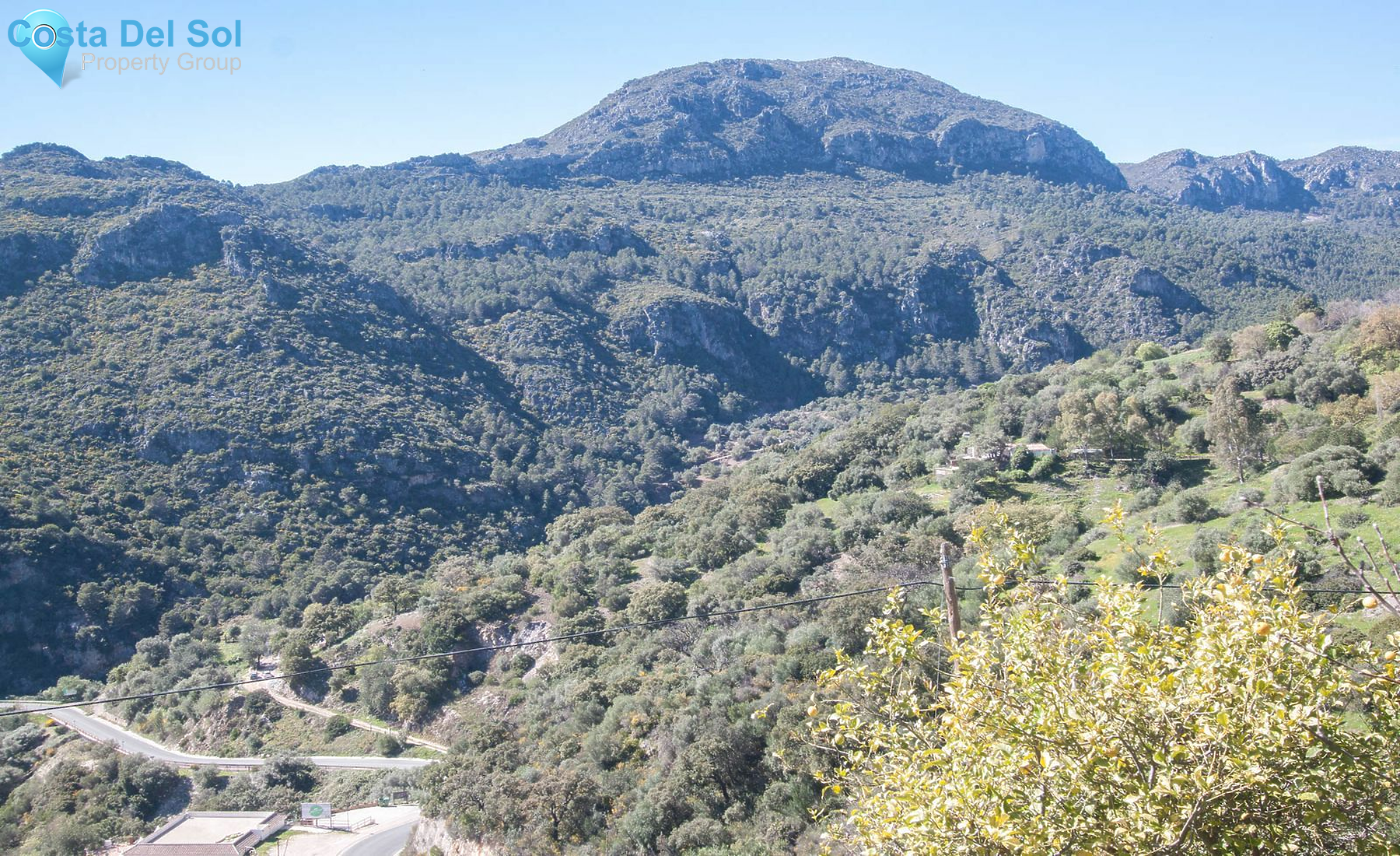 Finca - Cortijo in Casares-1488708
