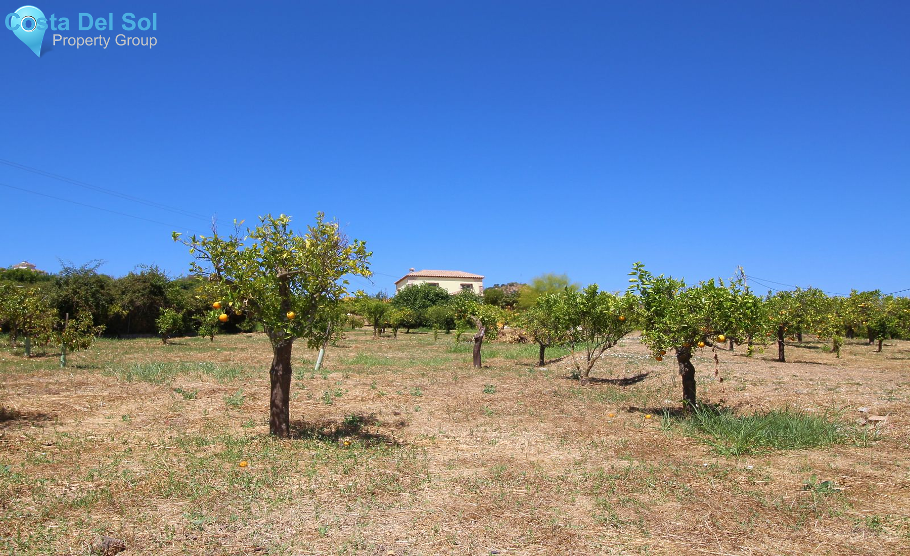 Finca - Cortijo in Coín-1180603
