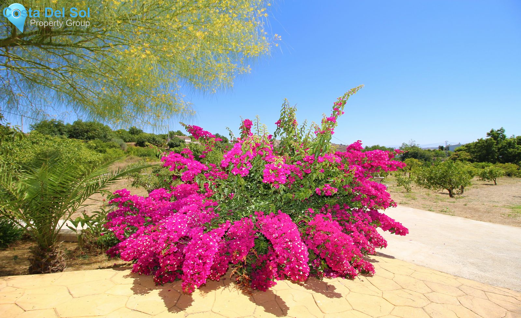 Finca - Cortijo in Coín-1180593