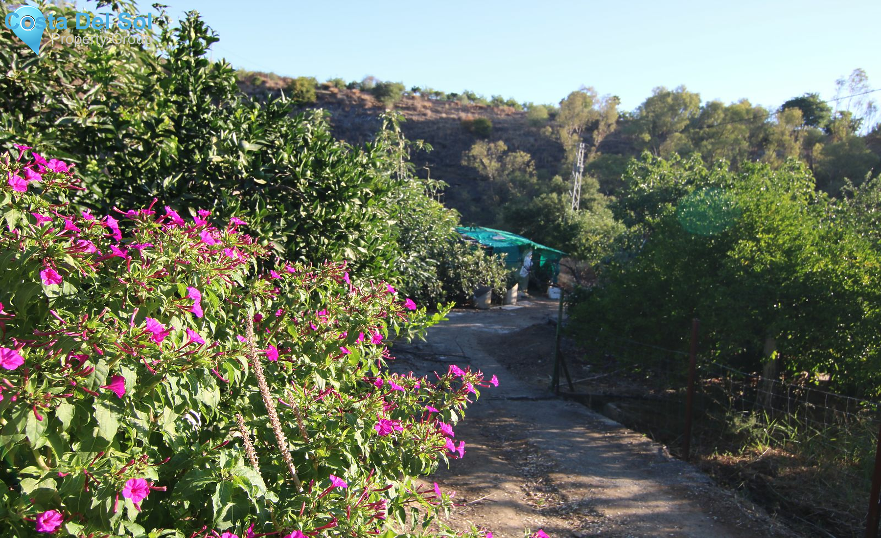 Finca - Cortijo in Coín-1213932