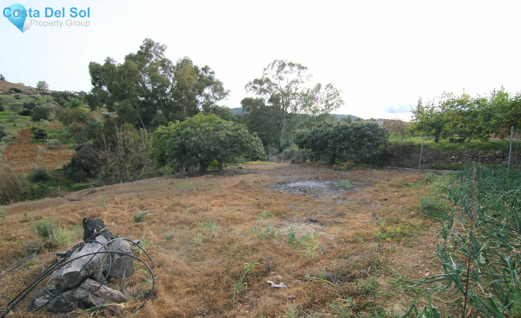 Finca - Cortijo in Coín-1223965