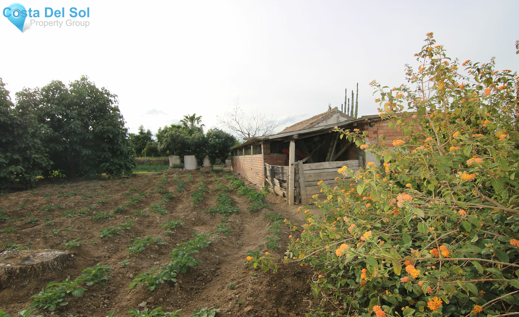 Finca - Cortijo in Coín-1223969