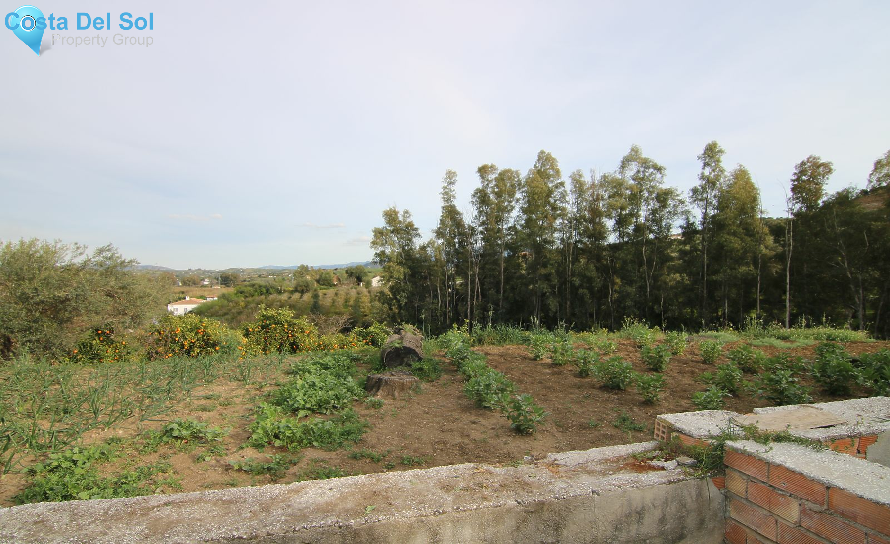Finca - Cortijo in Coín-1223971