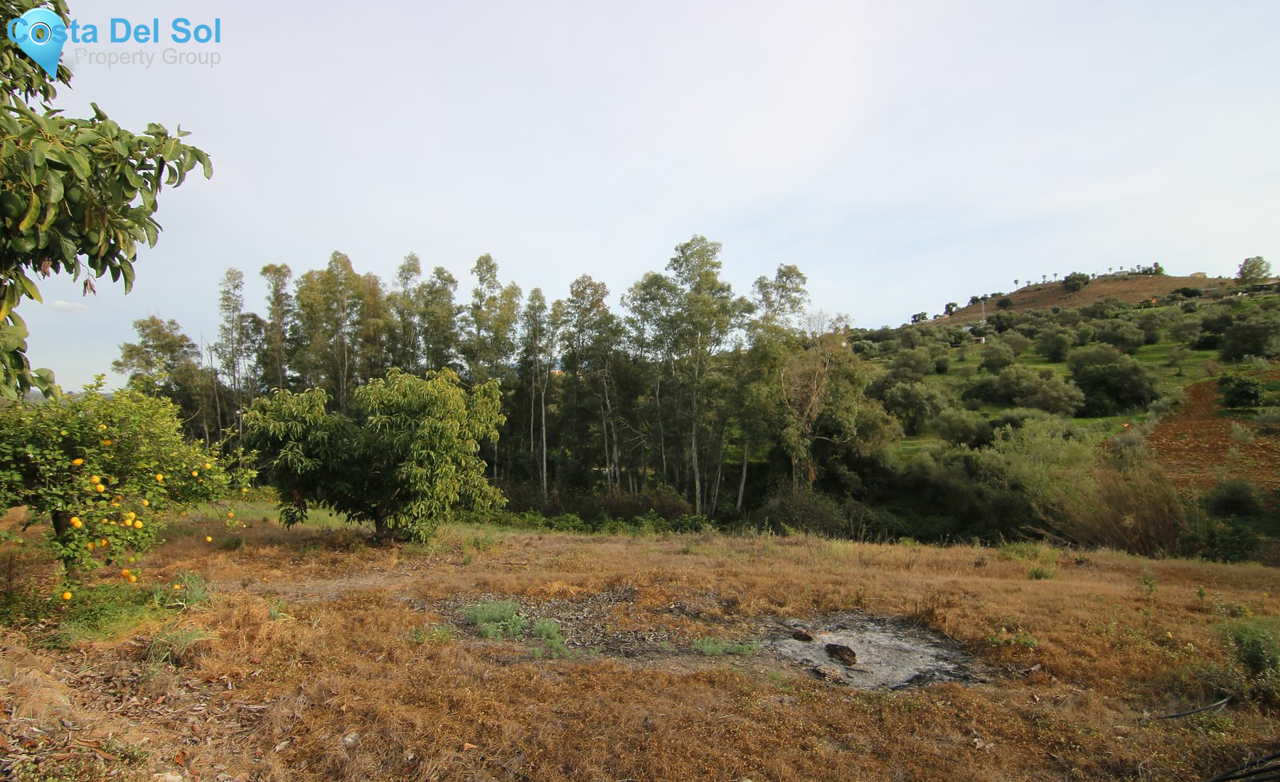 Finca - Cortijo in Coín-1223973