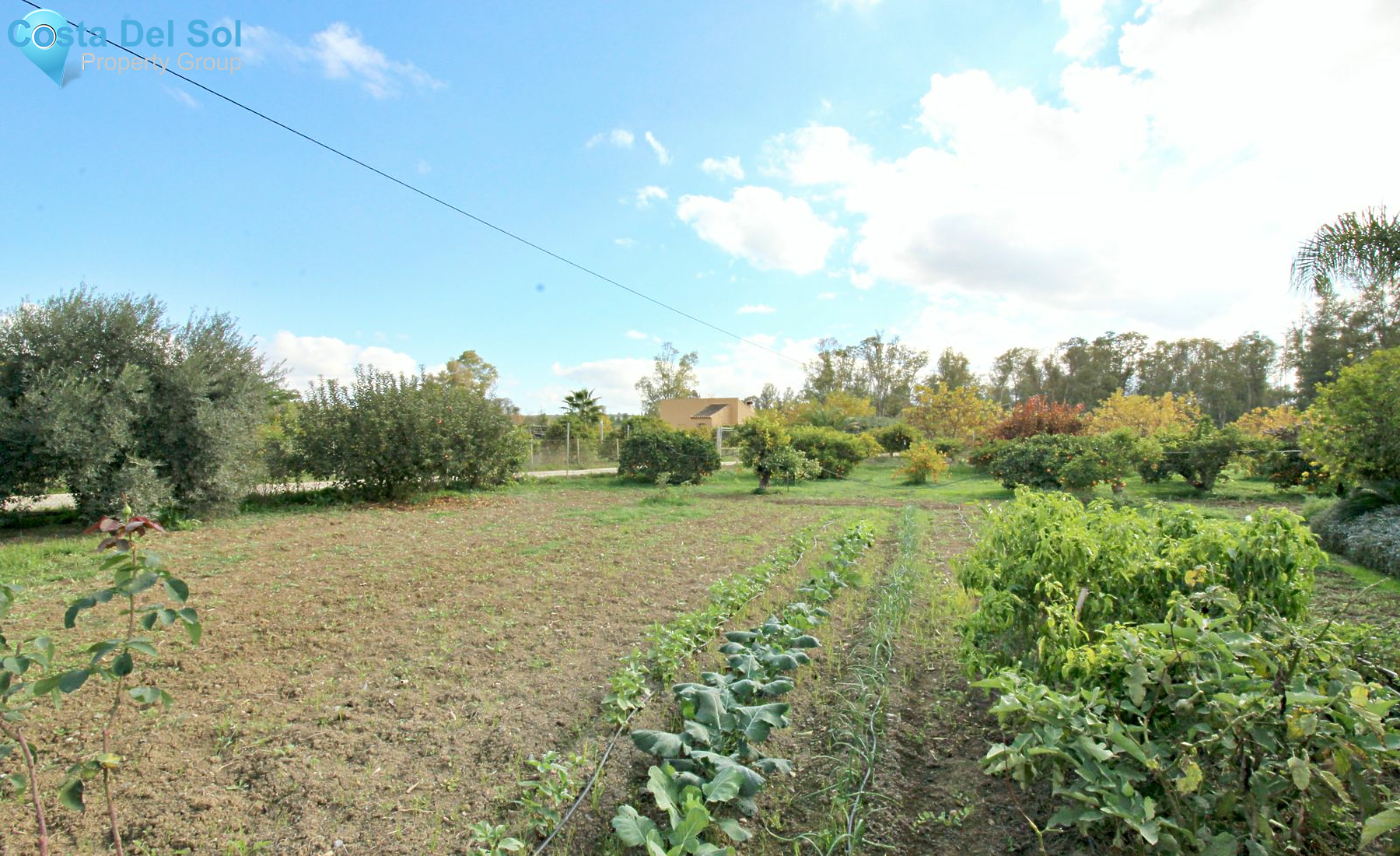 Finca - Cortijo in Coín-1398788