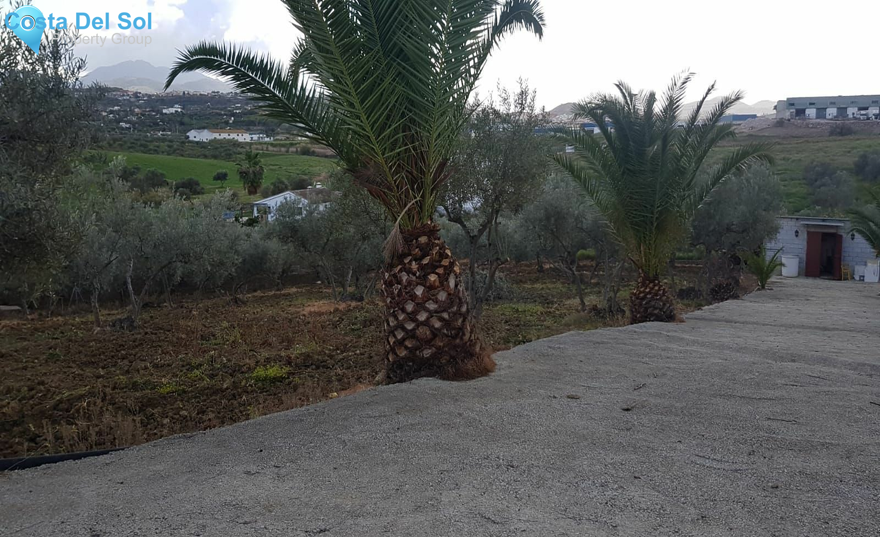 Finca - Cortijo in Coín-1551882