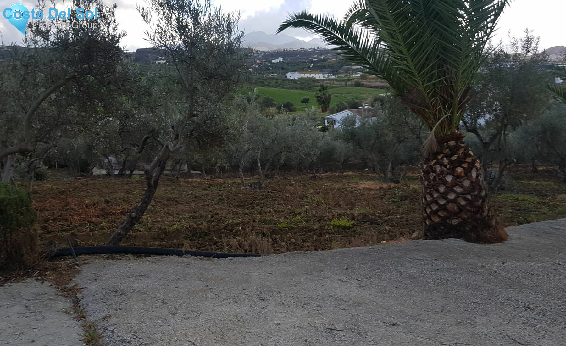 Finca - Cortijo in Coín-1551879