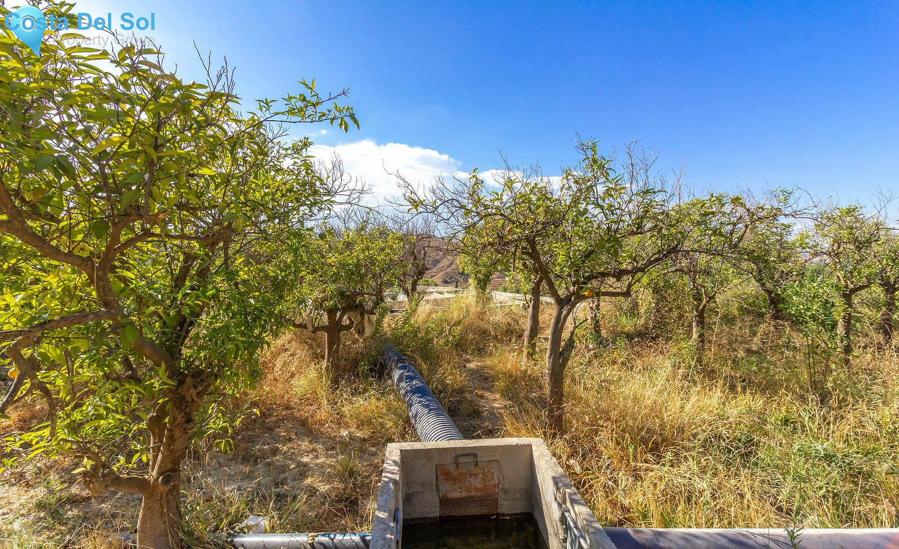 Finca - Cortijo in Coín-1552647