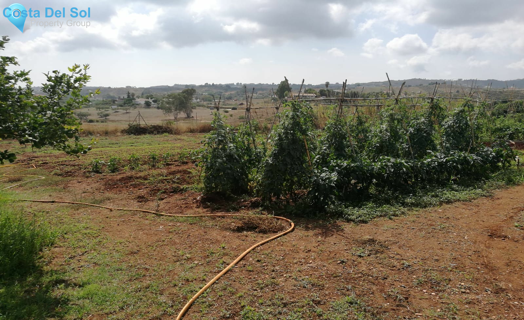 Finca - Cortijo in Entrerrios-1165217