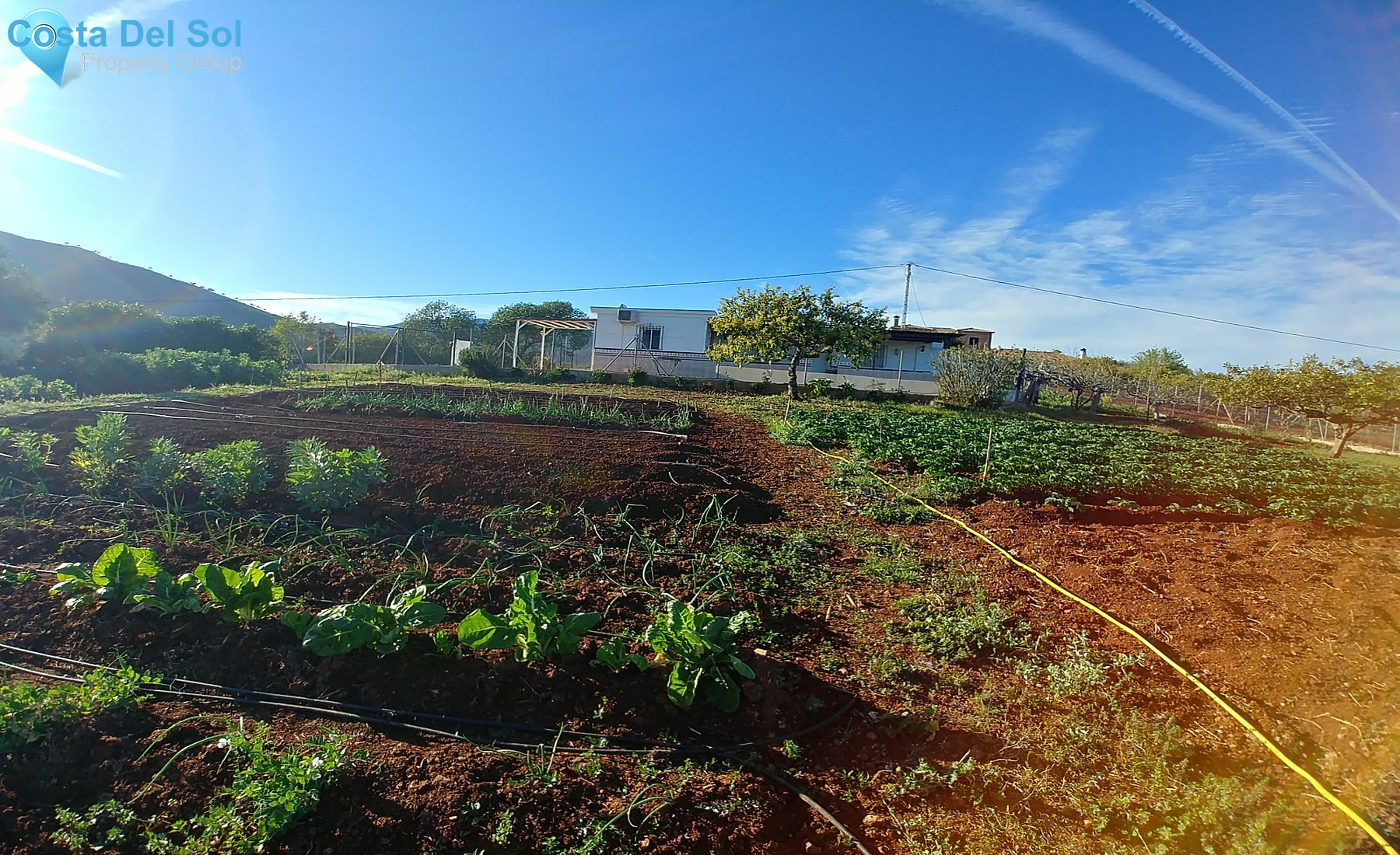 Finca - Cortijo in Entrerrios