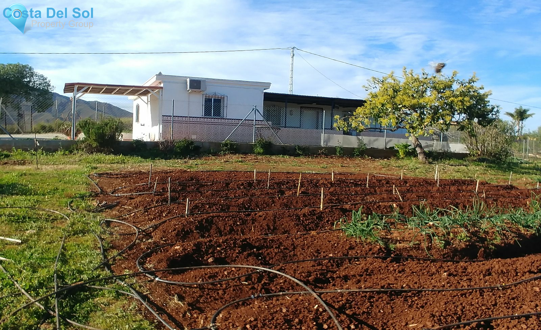 Finca - Cortijo in Entrerrios-1432211