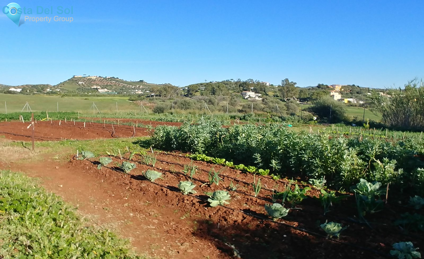 Finca - Cortijo in Entrerrios-1432213