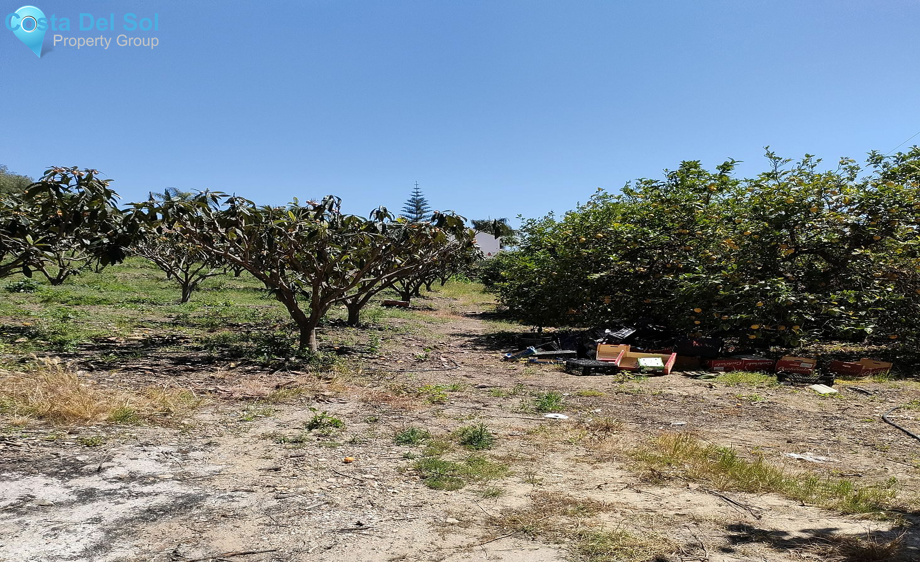 Finca - Cortijo in Estepona-1517714