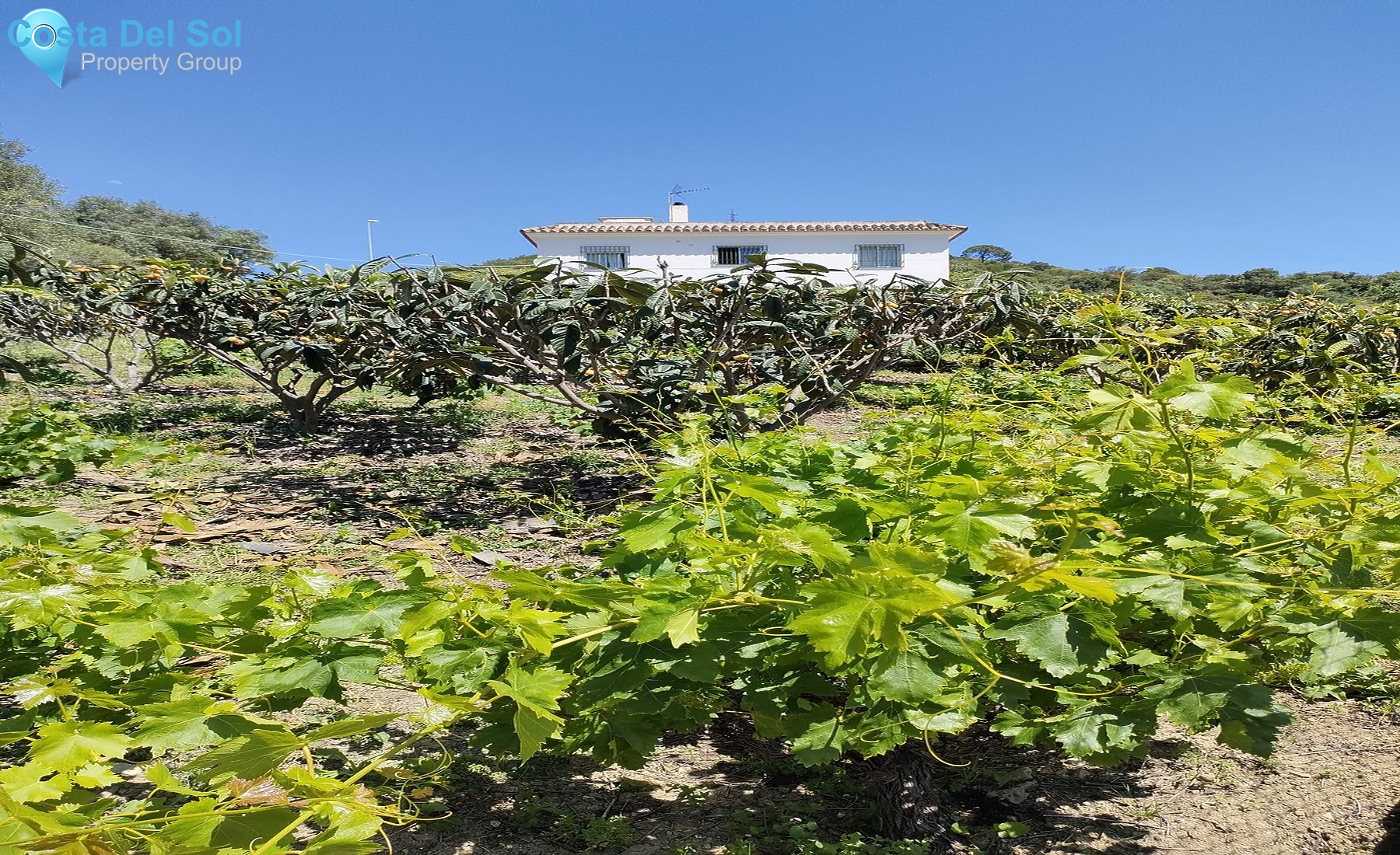 Finca - Cortijo in Estepona-1517700