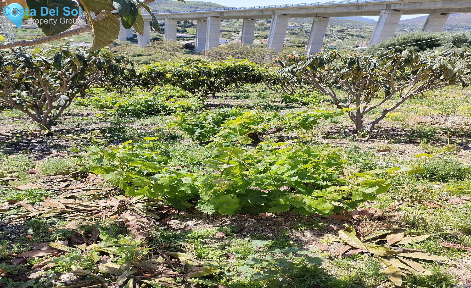 Finca - Cortijo in Estepona-1517704