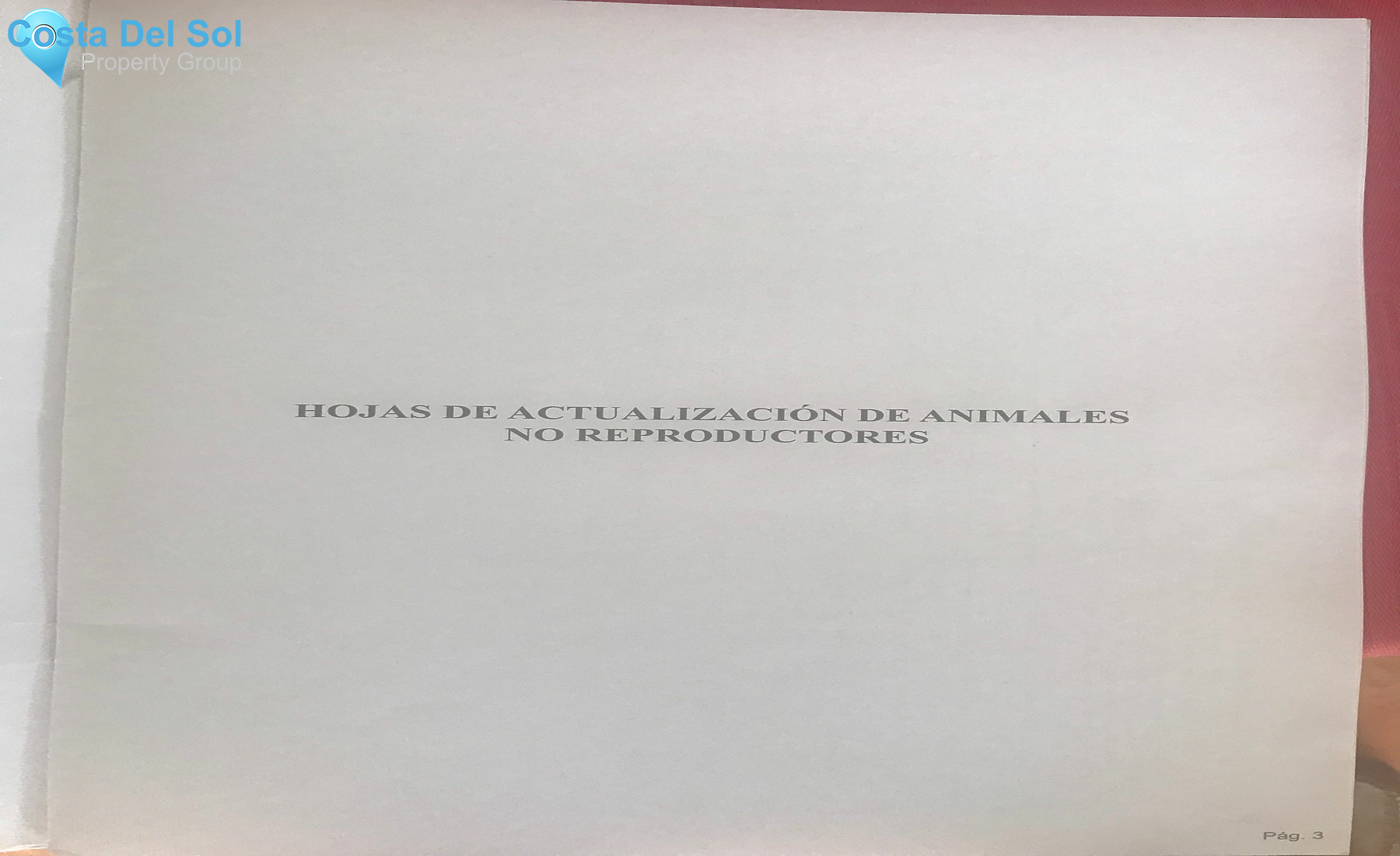 Finca - Cortijo in Frigiliana-1227035