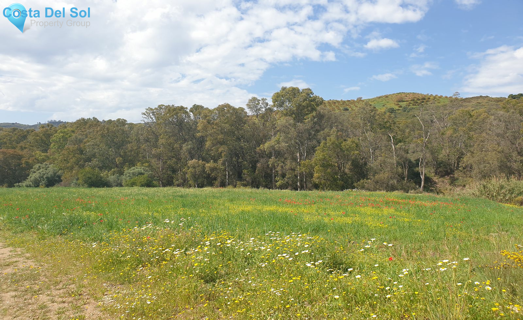 Finca - Cortijo in La Cala Golf-1386191