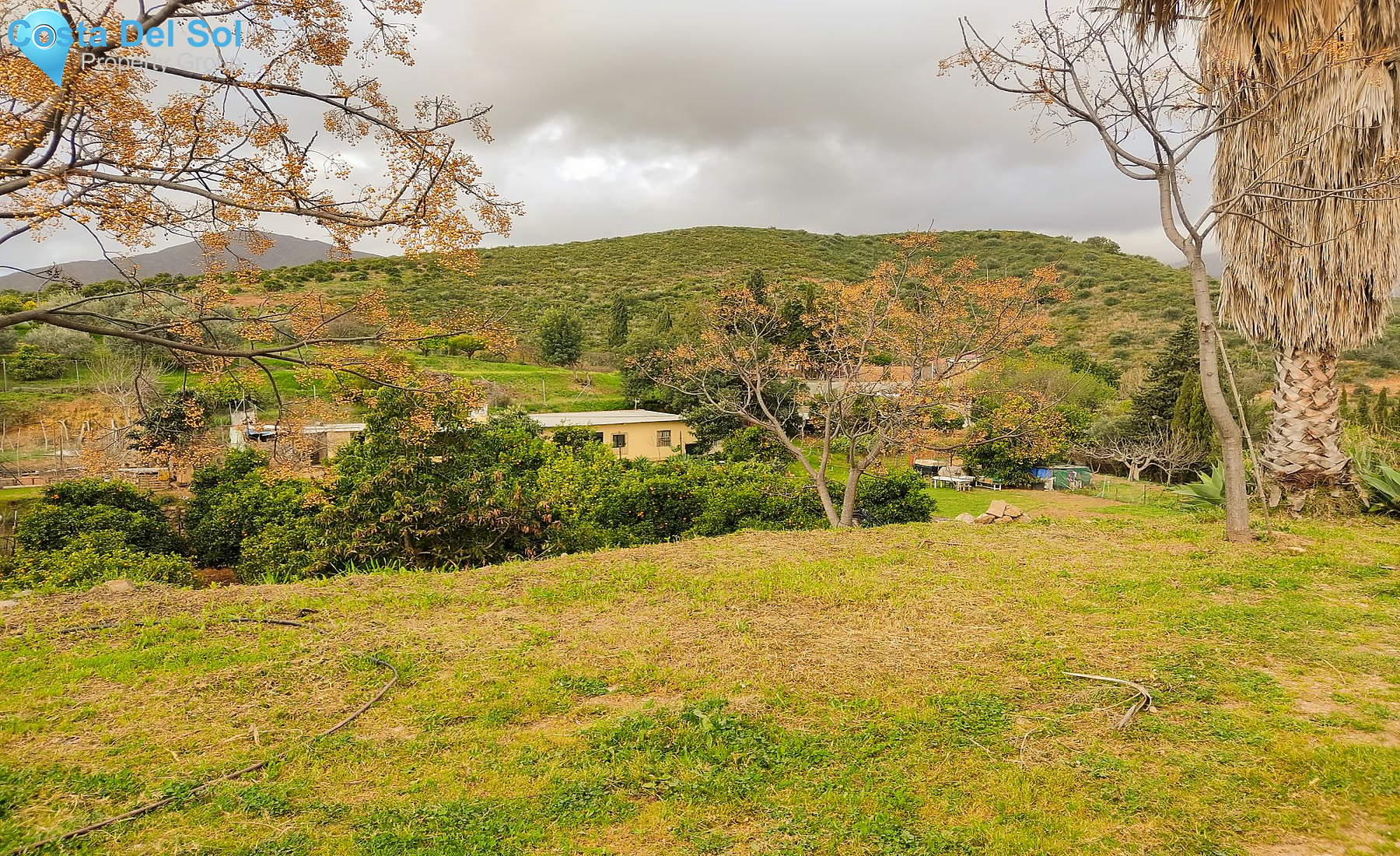 Finca - Cortijo in La Cala de Mijas-1174419