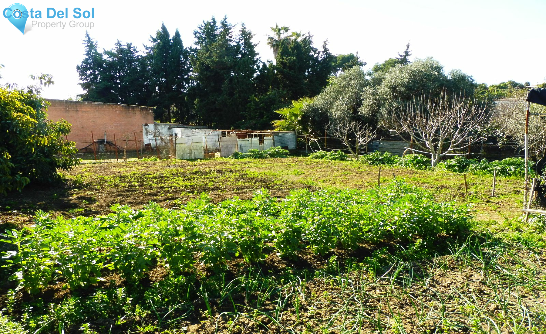 Finca - Cortijo in Marbella-1210449