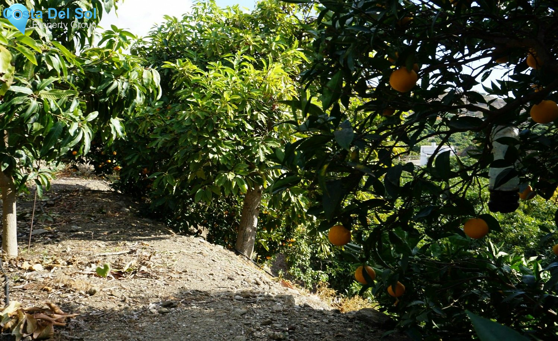 Finca - Cortijo in Nerja-1432581