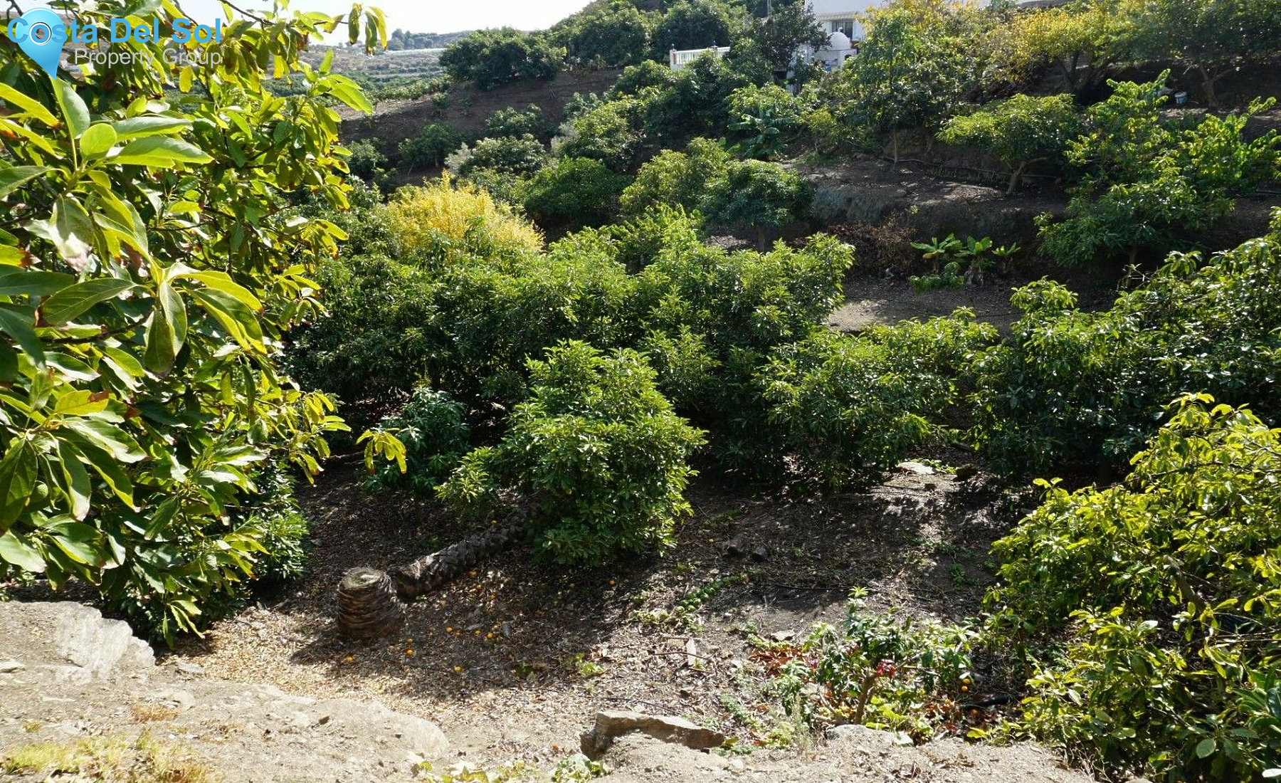 Finca - Cortijo in Nerja-1432582