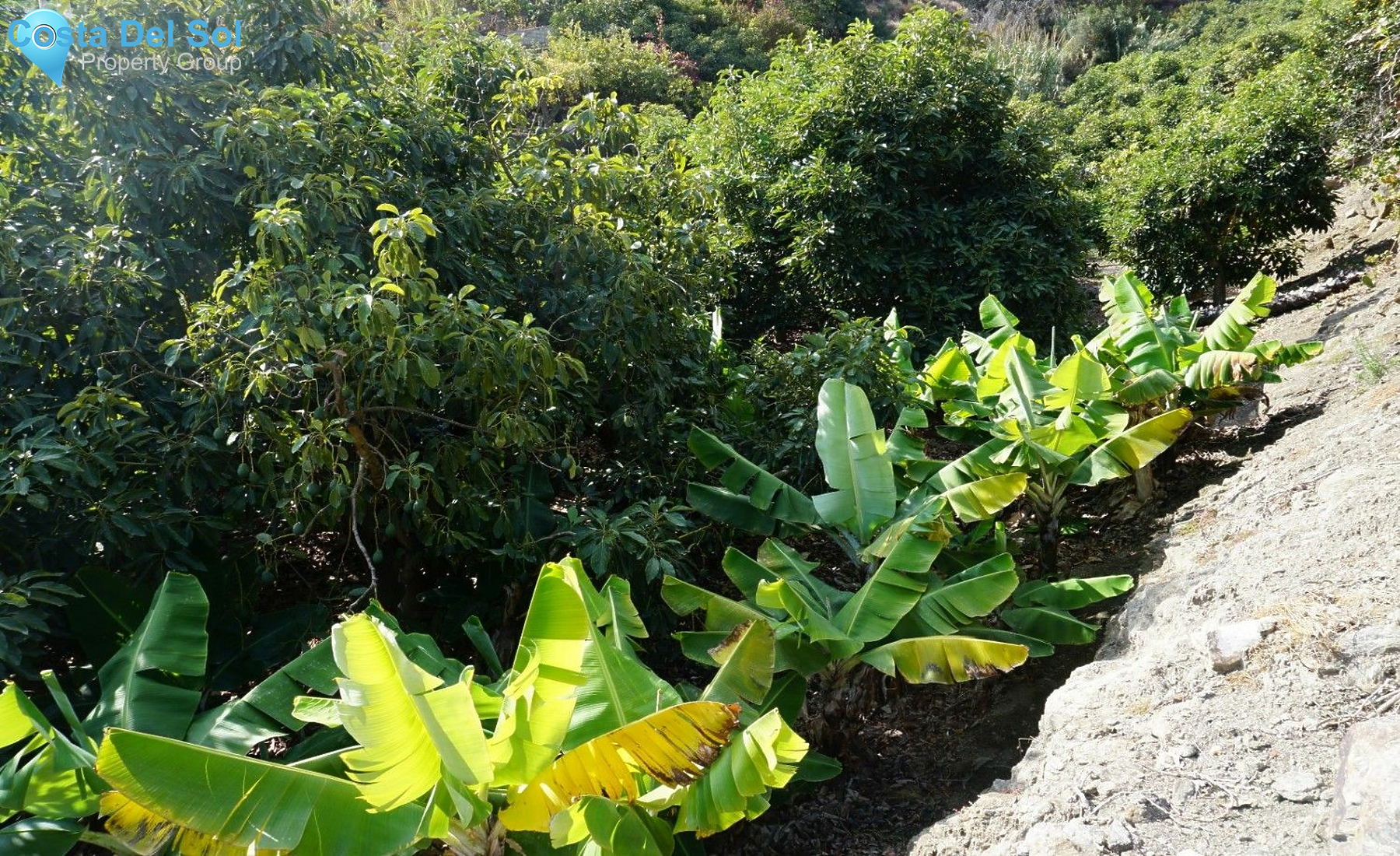 Finca - Cortijo in Nerja-1432583