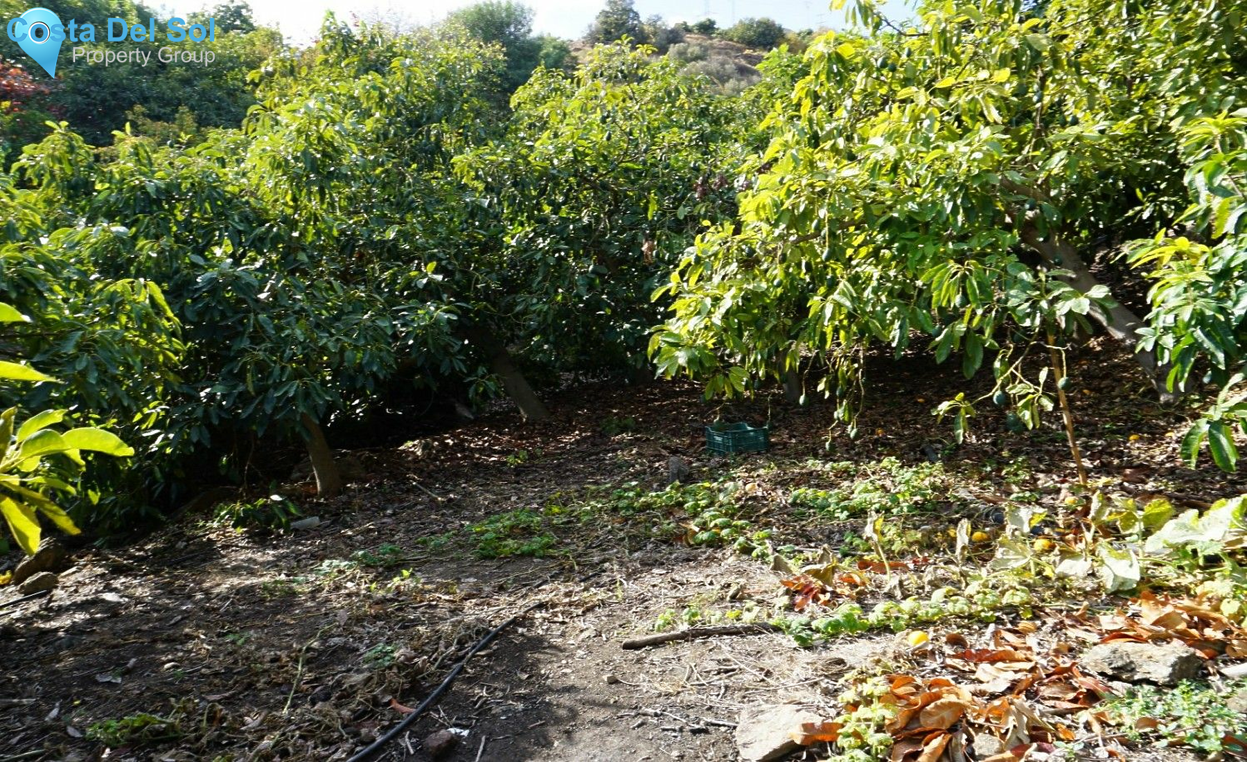 Finca - Cortijo in Nerja-1432586