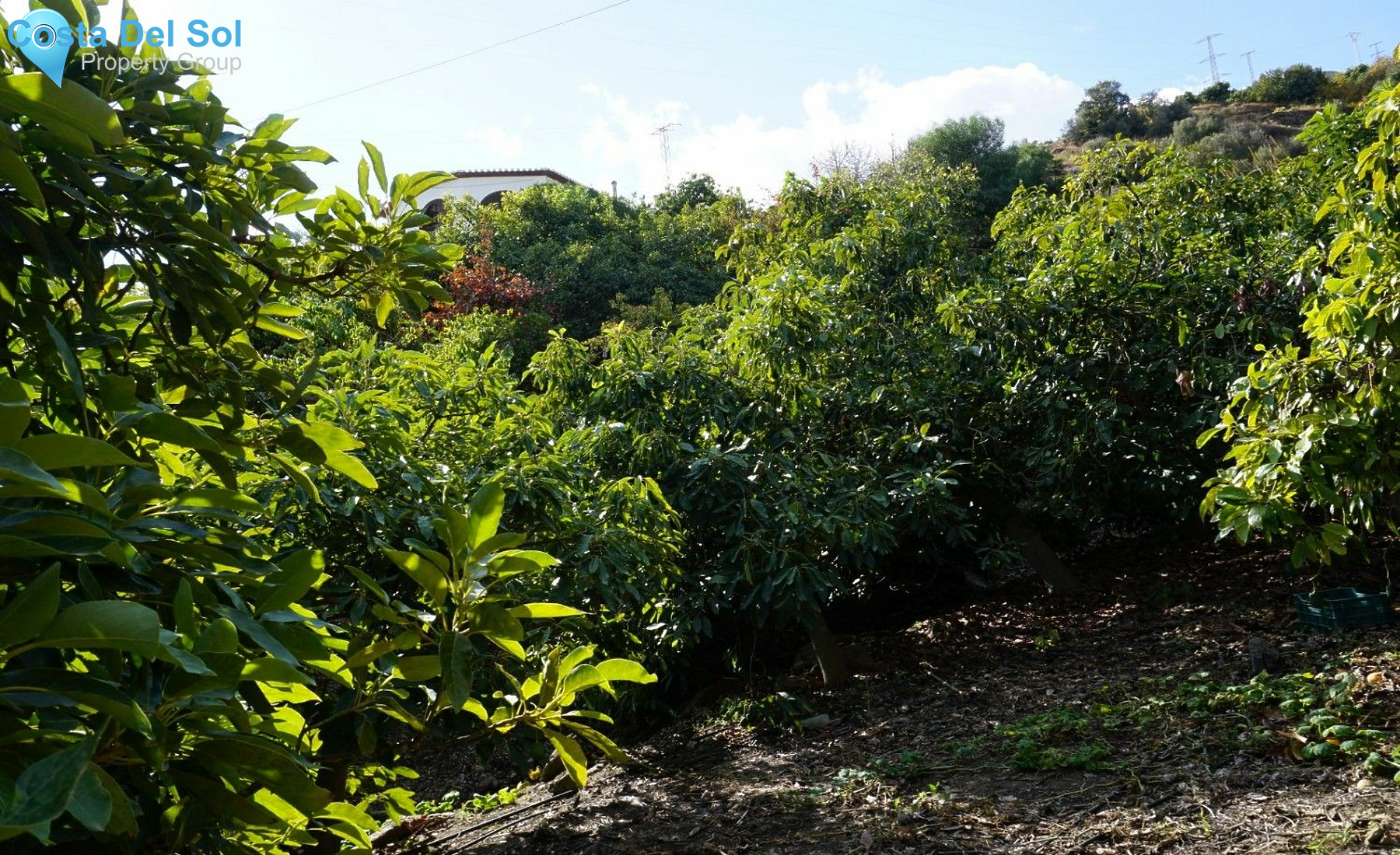 Finca - Cortijo in Nerja-1432588