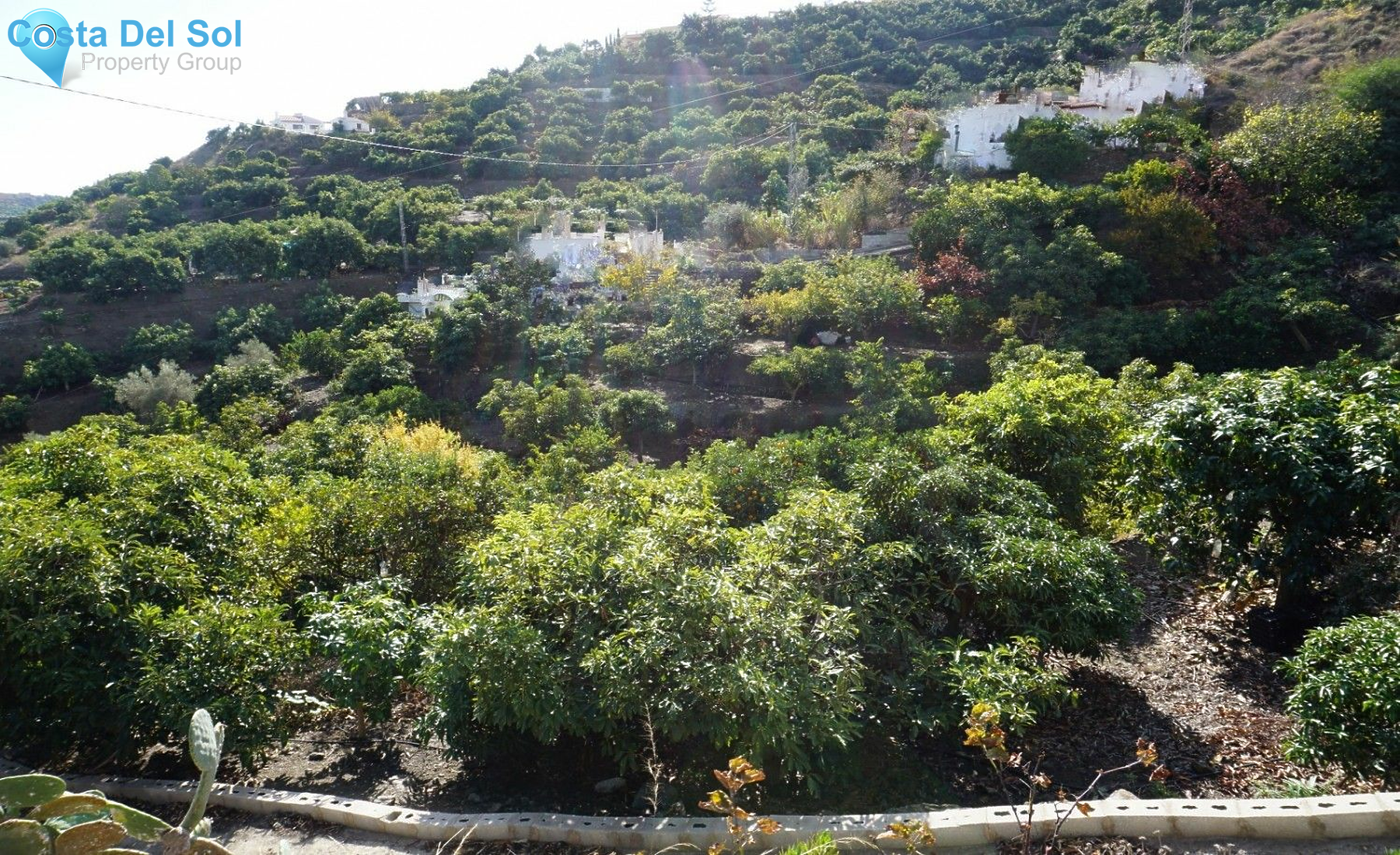 Finca - Cortijo in Nerja-1432573