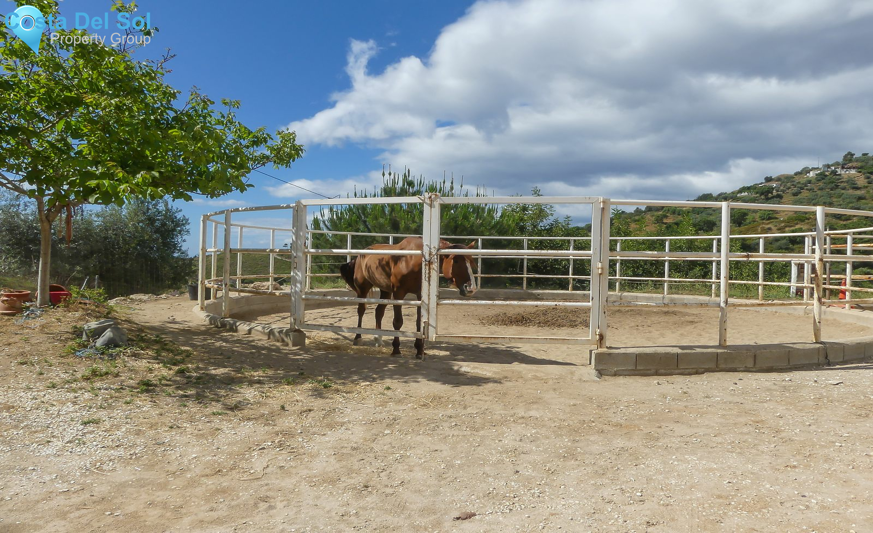 Finca - Cortijo in Ojén-1148702