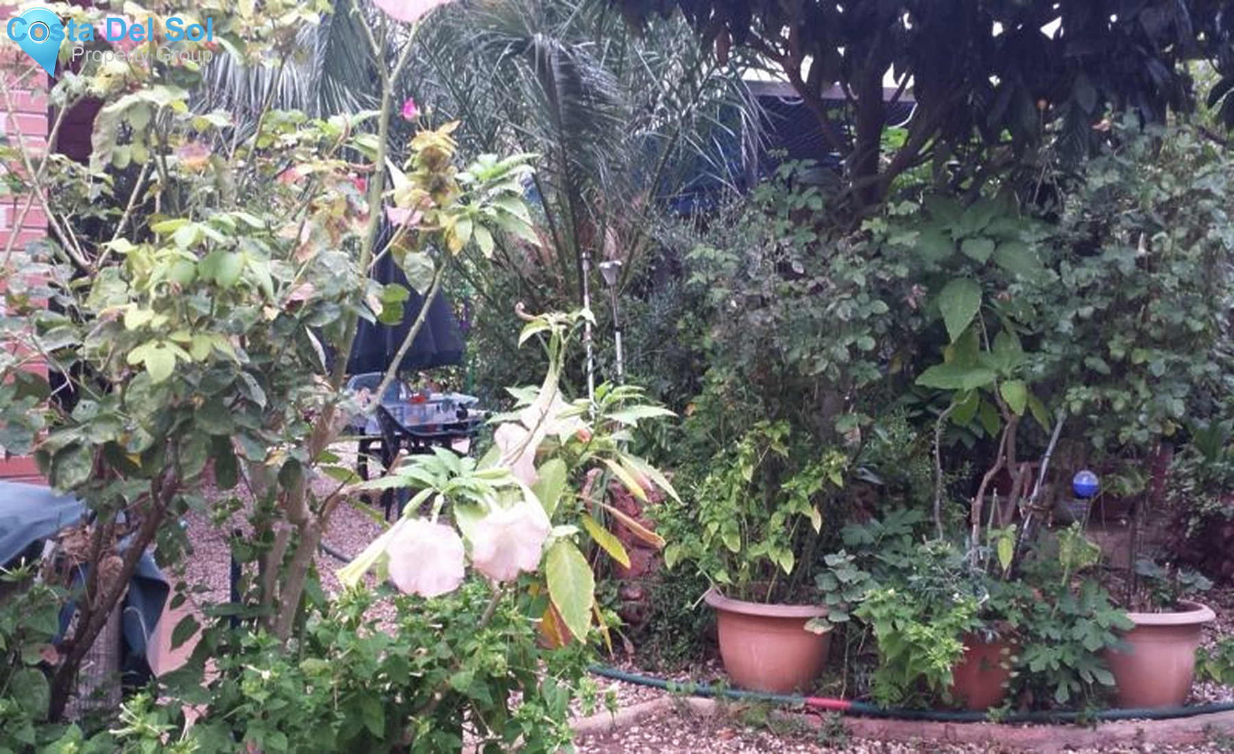 Finca - Cortijo in Ojén-1203262