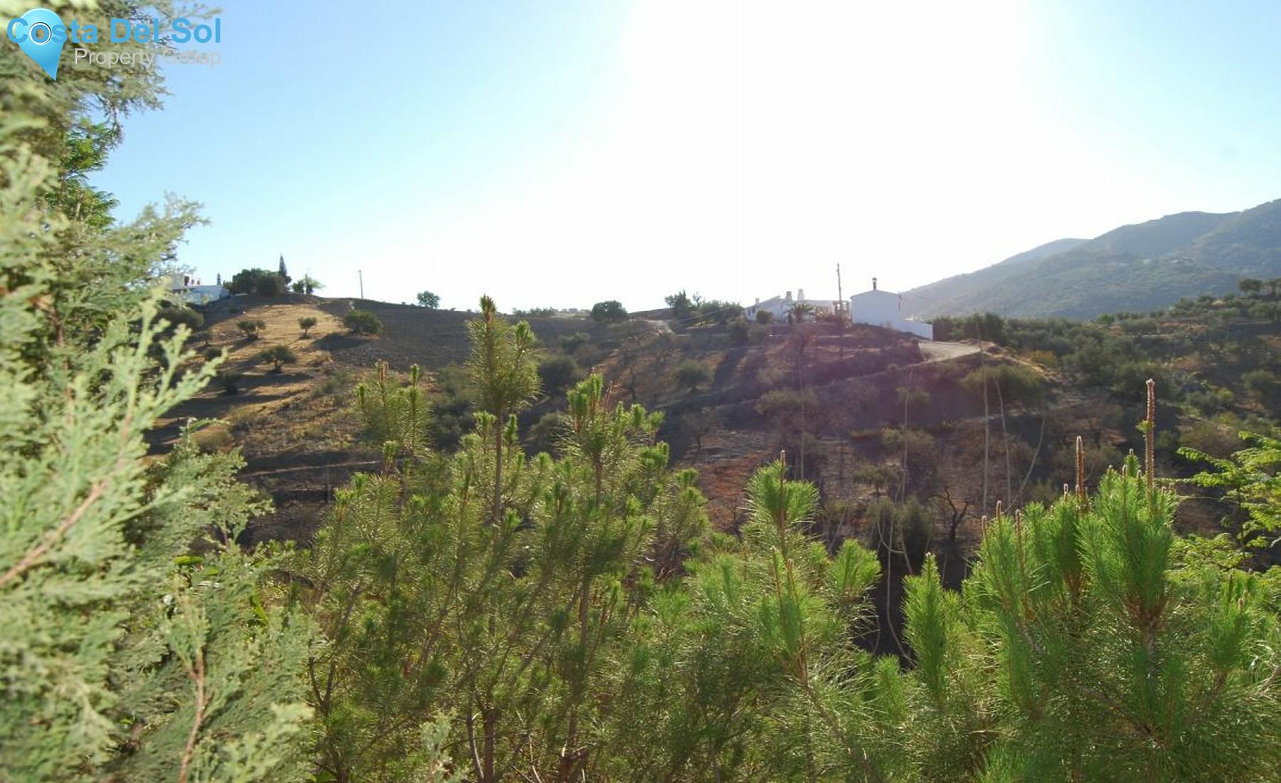 Finca - Cortijo in Sedella-1225042