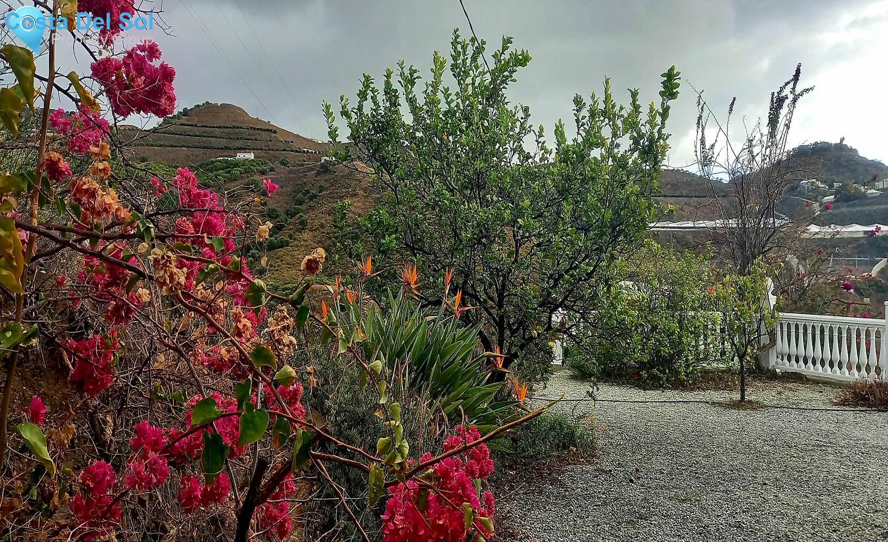 Finca - Cortijo in Torrox-1520251