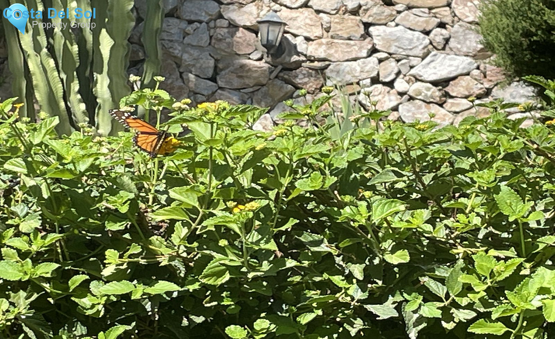 Ground Floor Apartment in Benalmadena Costa