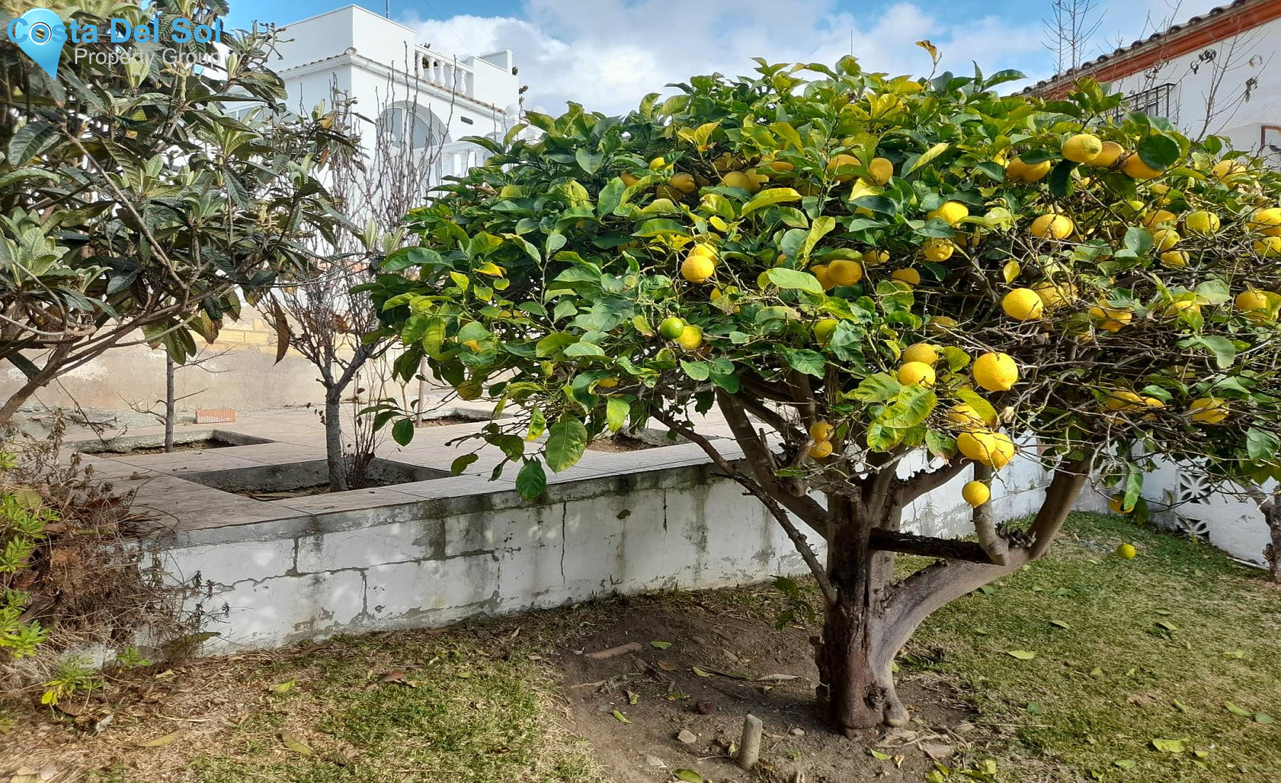 Ground Floor Apartment in El Faro-1143390