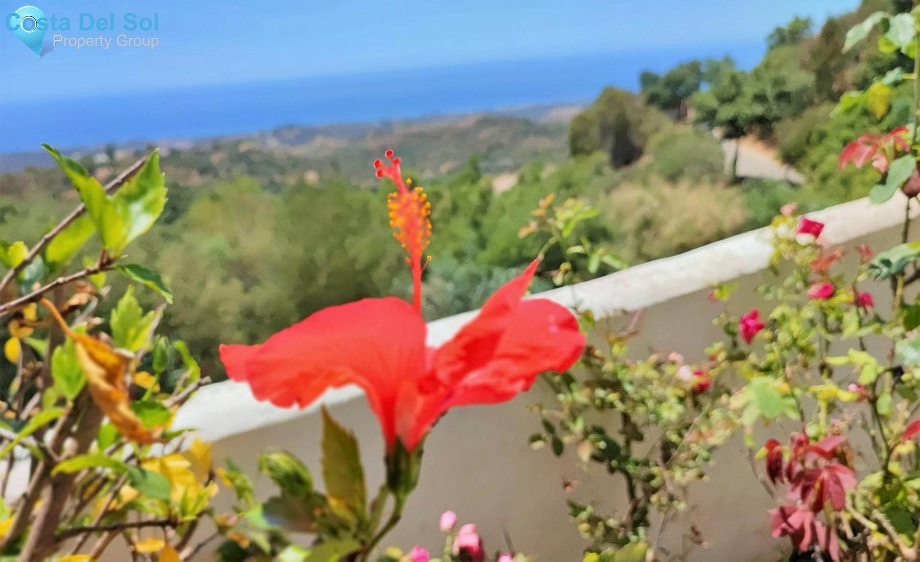 Ground Floor Apartment in La Mairena-1261553