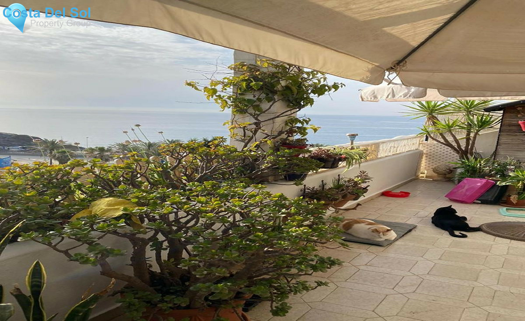 Ground Floor Apartment in Mijas-1280058