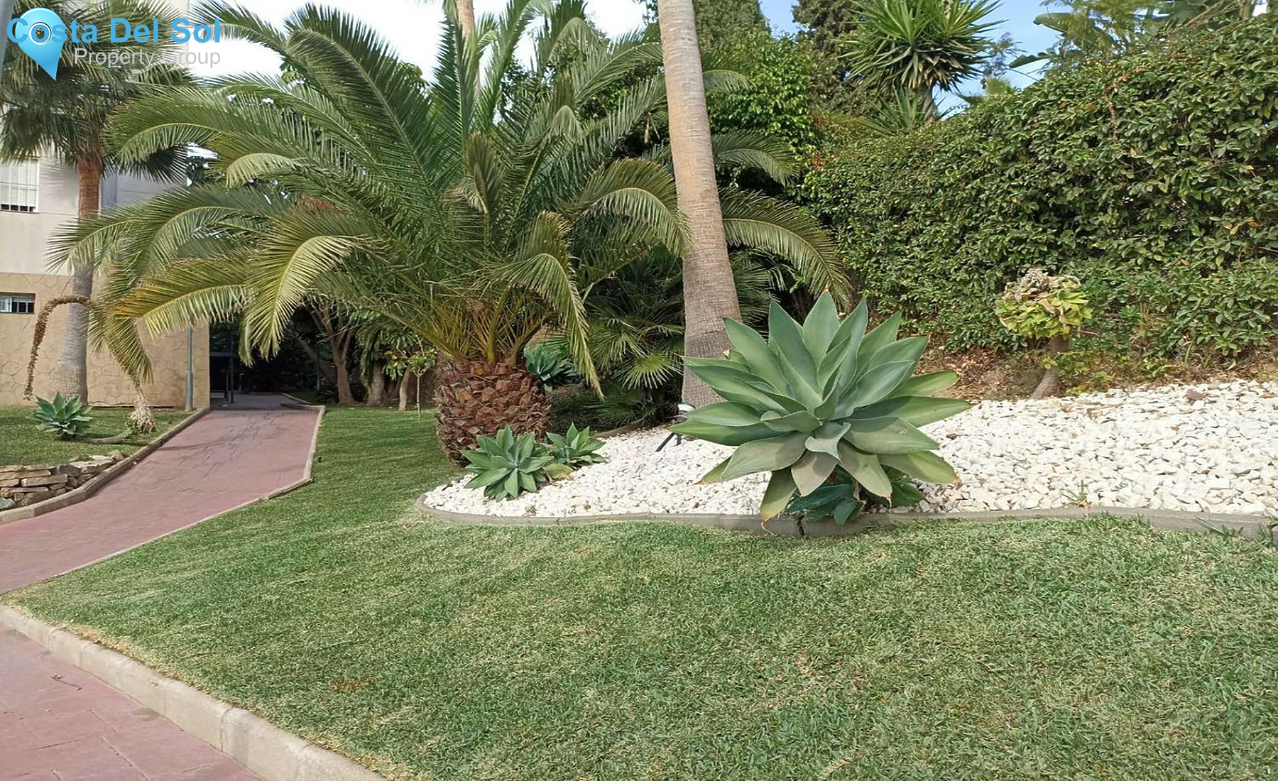 Ground Floor Apartment in Mijas-1511852