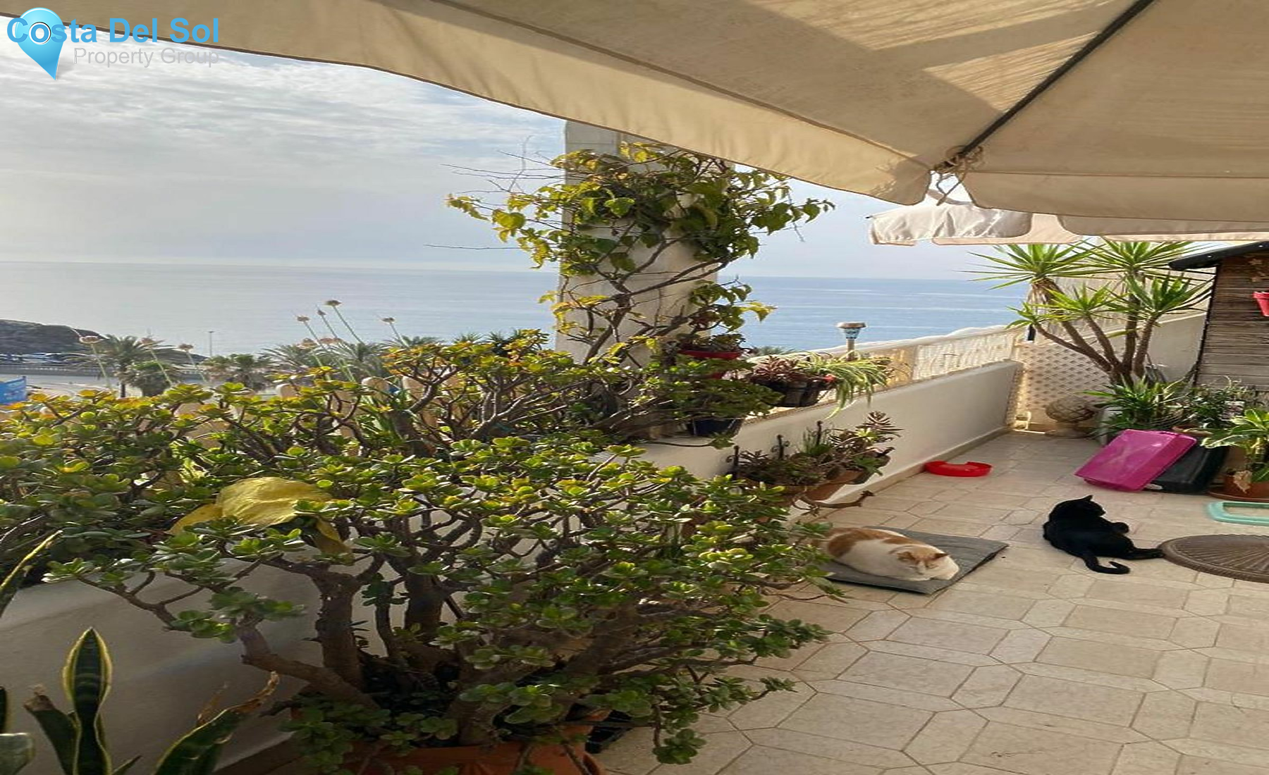 Ground Floor Apartment in Mijas-1197944