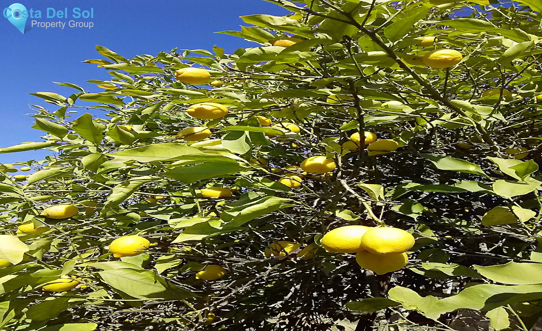 House in Alhaurín el Grande-1307219
