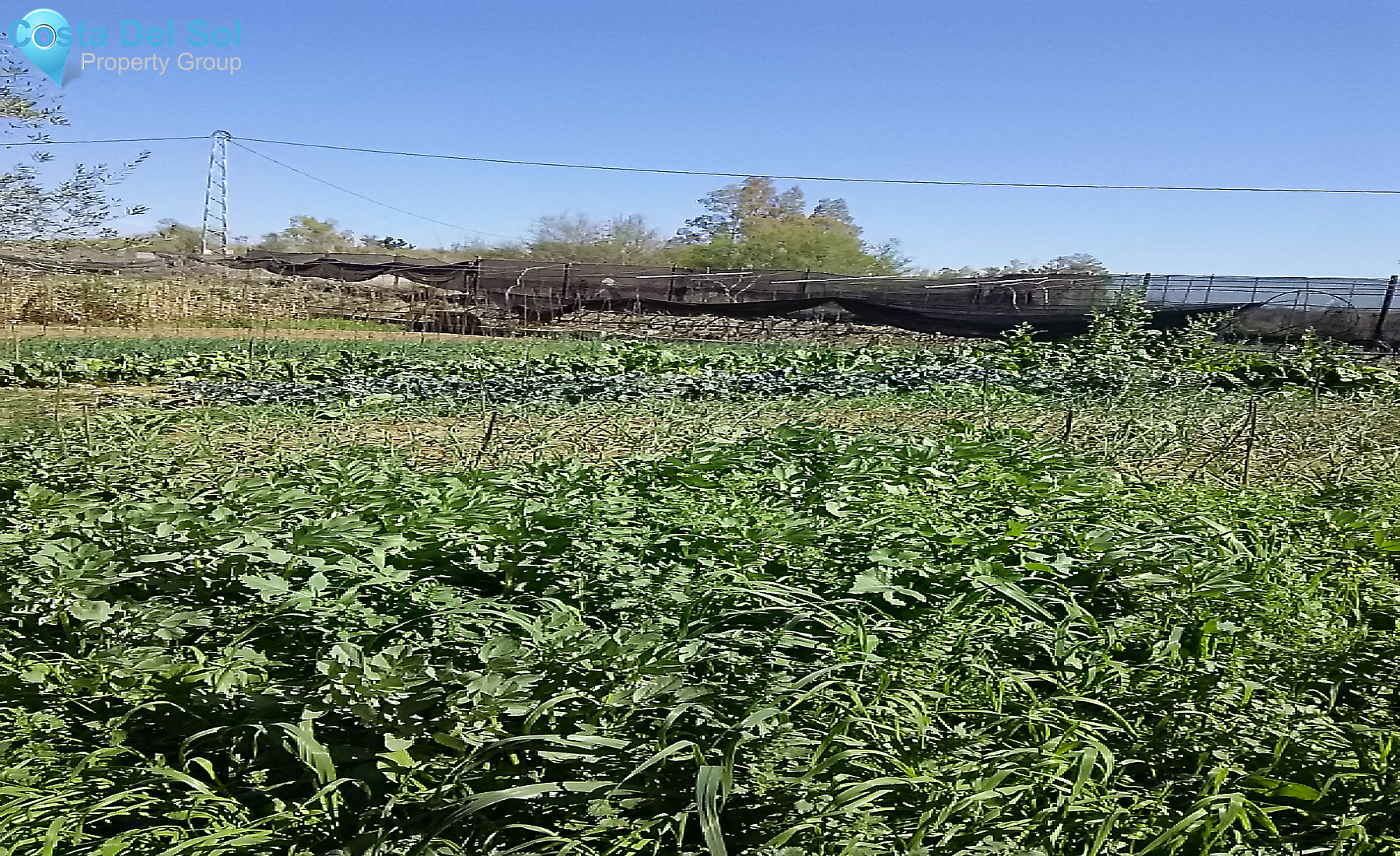 House in Alhaurín el Grande-1307211