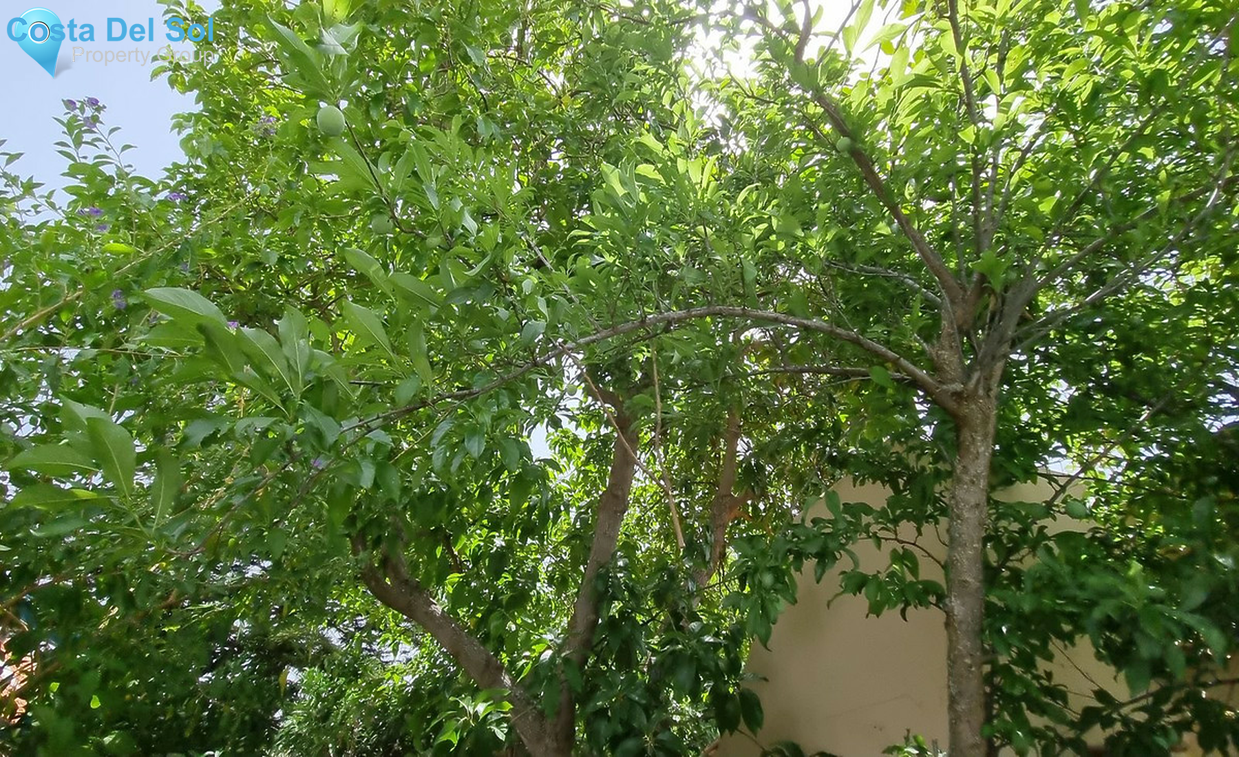 House in San Martín de Tesorillo-1370553