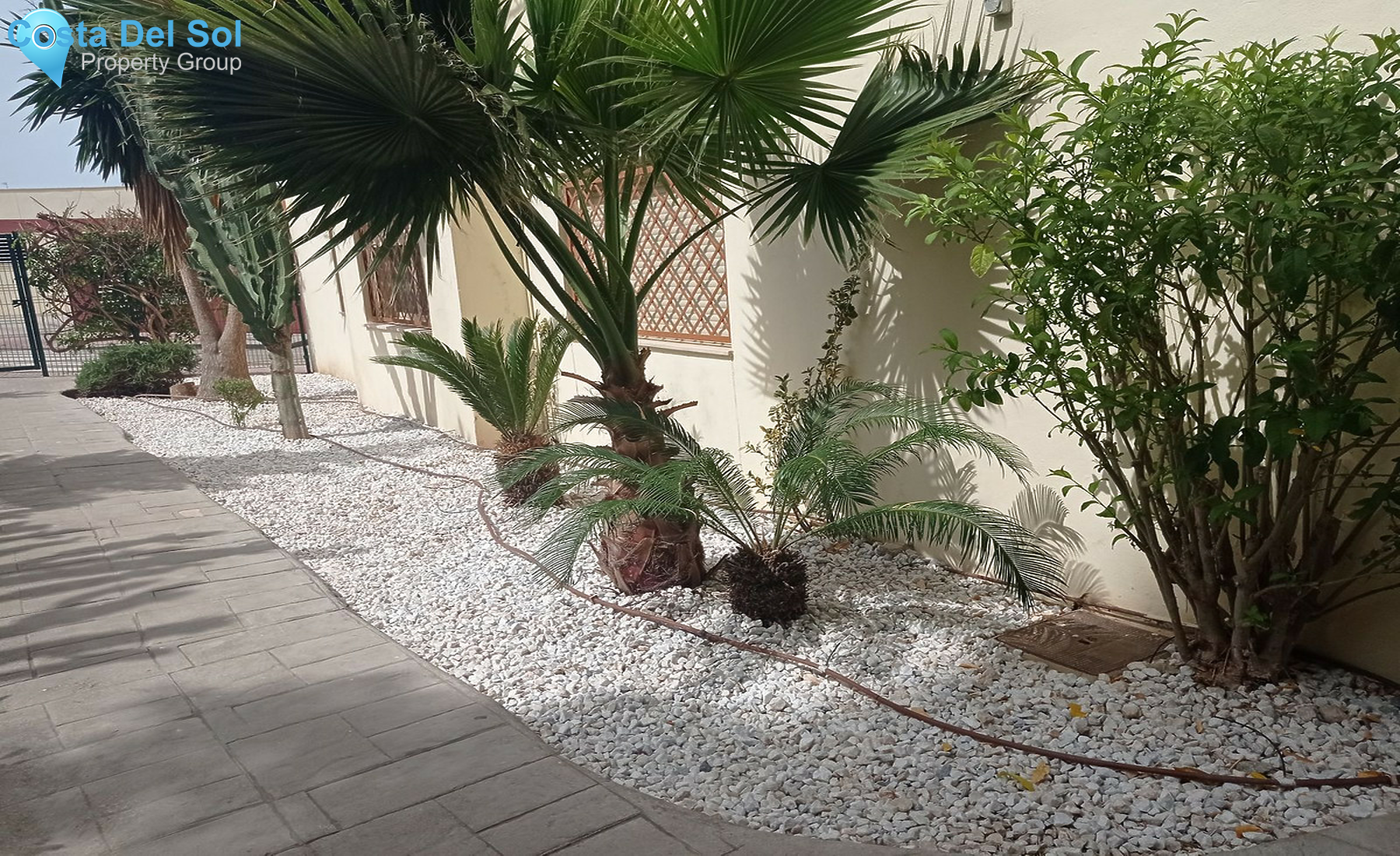 Middle Floor Apartment in Estepona-1274040