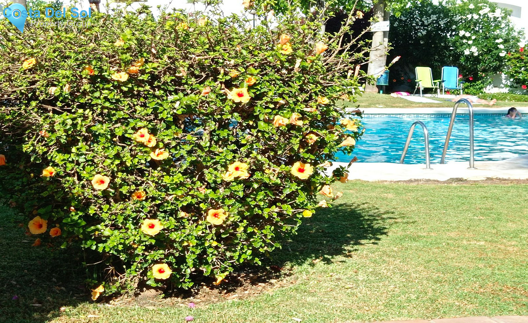 Middle Floor Apartment in Estepona-1414934