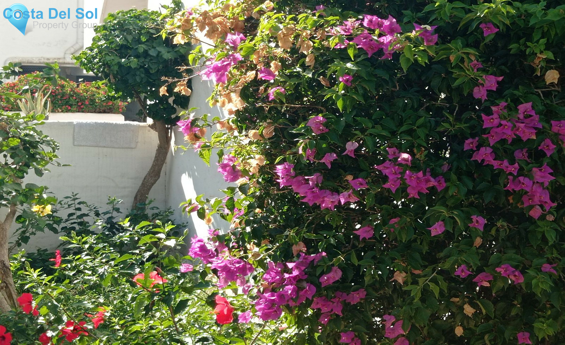 Middle Floor Apartment in Estepona-1414937